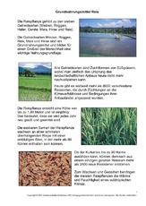 Grundnahrungsmittel-Reis-1-3.pdf